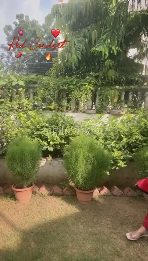 Pure Cotton Embroidery  Work Co-Ord Set